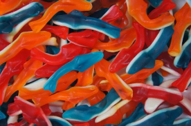 Damel Assorted Sharks 2kg (1 Per Outer)