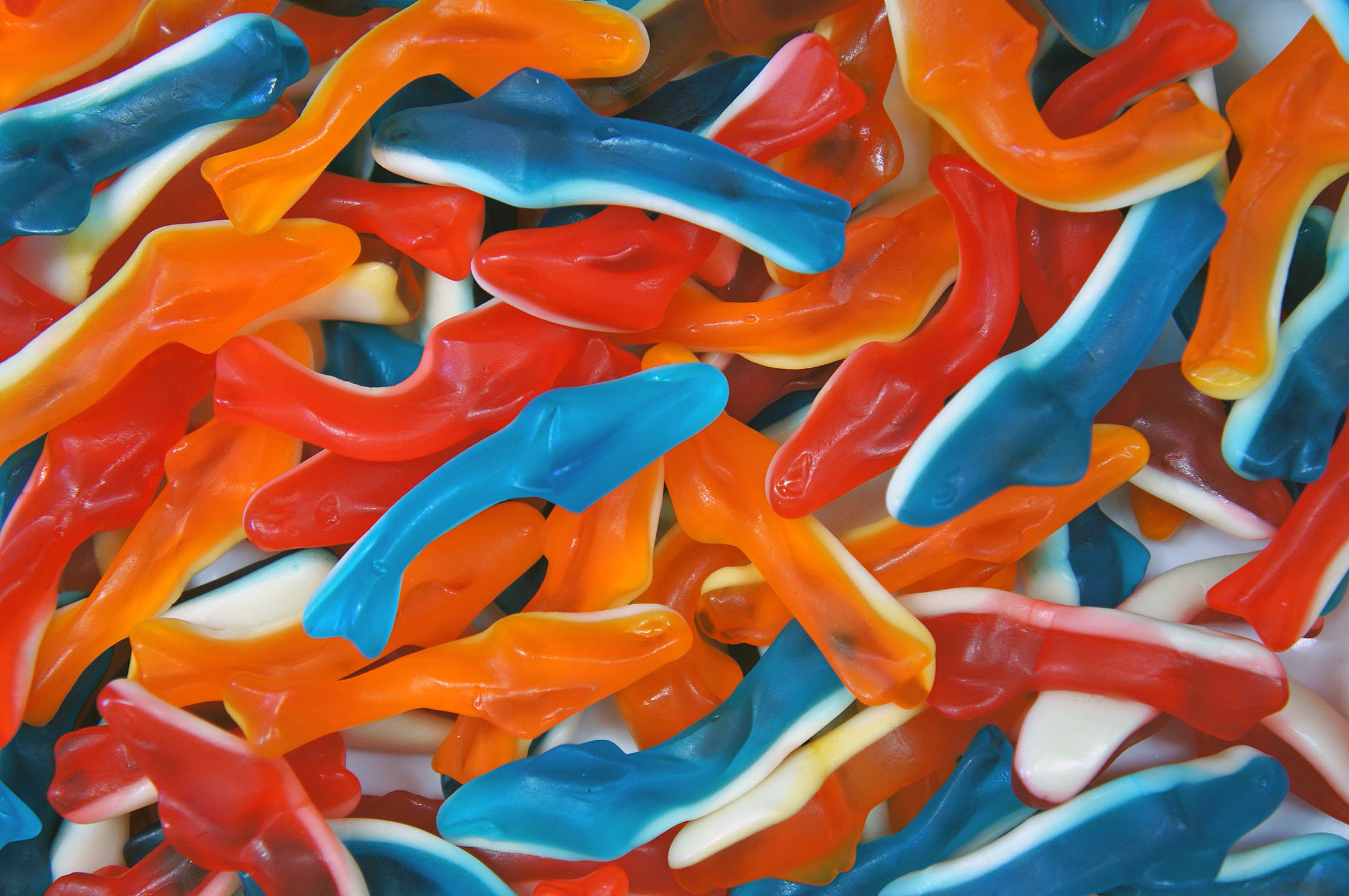 Damel Assorted Sharks 80g (12 Per Outer)